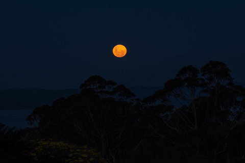 Celestine Retreat - Hotel Accommodation 11