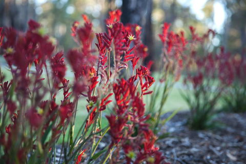 Amaroo Retreat & Spa - Hotel Accommodation 16