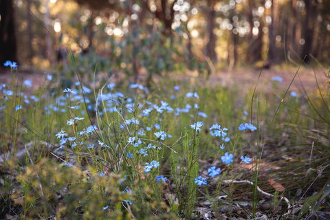 Amaroo Retreat & Spa - Hotel Accommodation 15