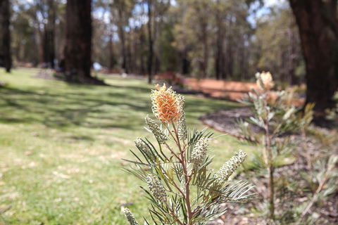 Amaroo Retreat & Spa - Hotel Accommodation 19