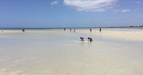 Beach House Dunsborough - Hotel Accommodation 22