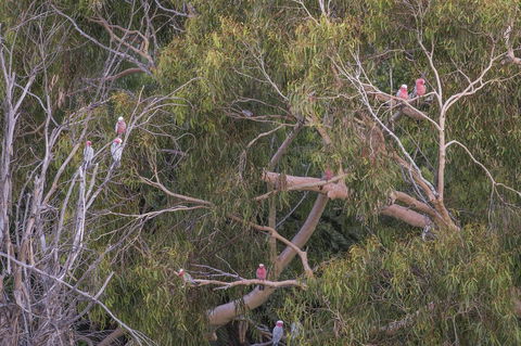 12/26 Yallingup Beach Road - Hotel Accommodation 19