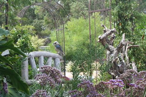 Rosebridge House Bed & Breakfast Adult Retreat - Hotel Accommodation 12