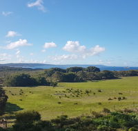 Torbay Seaview Apartment