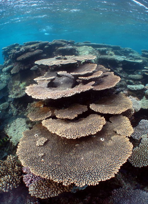 Ningaloo Coral Bay â€“ Bayview - Hotel Accommodation 6