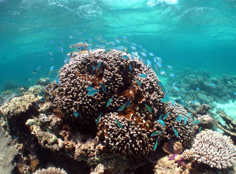 Ningaloo Coral Bay â€“ Bayview - Hotel Accommodation 2