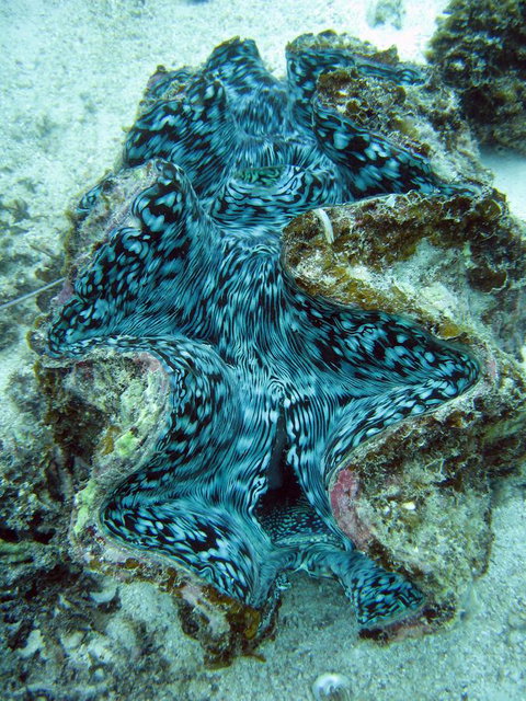 Ningaloo Coral Bay â€“ Bayview - Hotel Accommodation 5