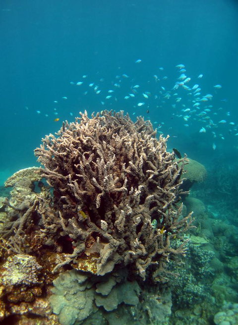 Ningaloo Coral Bay â€“ Bayview - Hotel Accommodation 7