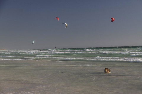 Dongara Tourist Park - Hotel Accommodation 33