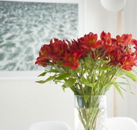 On The Beach Waterfront Apartment - Hotel Accommodation