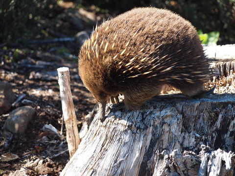 Erriba House - Hotel Accommodation 14