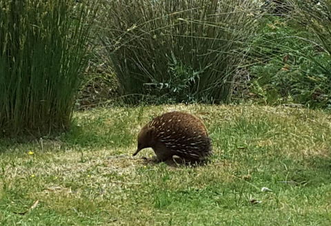 Erriba House - Hotel Accommodation 10