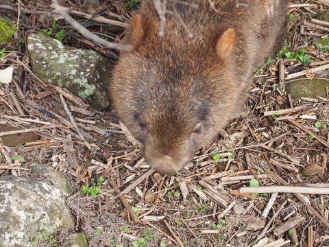 Erriba House - Hotel Accommodation 8