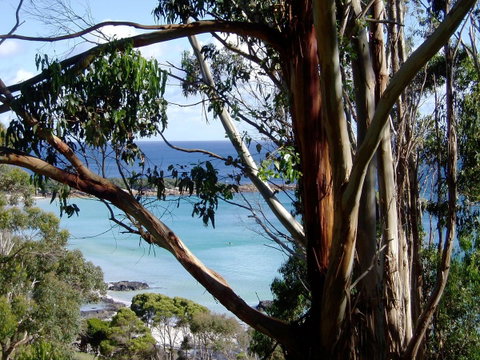 Seascape Beach House - Hotel Accommodation 8