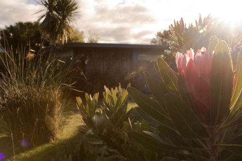 Eagle Peaks At Freycinet - Hotel Accommodation 8