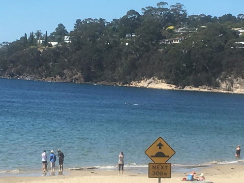 The Ultimate Beach House - Hotel Accommodation 2