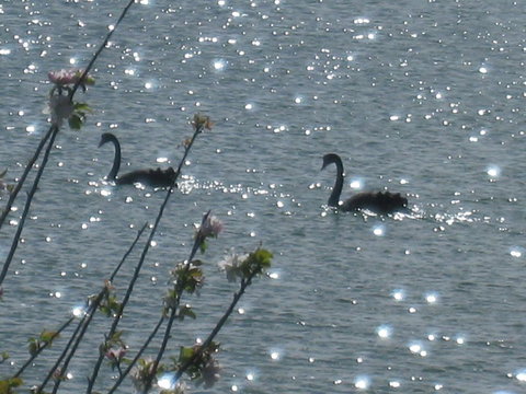 Driftwood - Hotel Accommodation 6