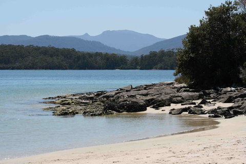 Driftwood - Hotel Accommodation 14