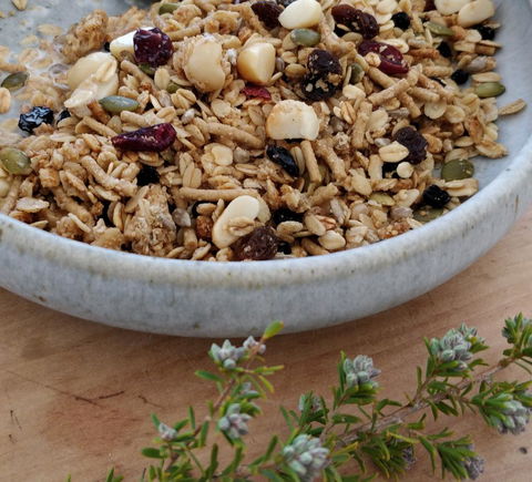 Aplite House - Hotel Accommodation 24