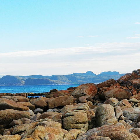 Aplite House - Hotel Accommodation 31