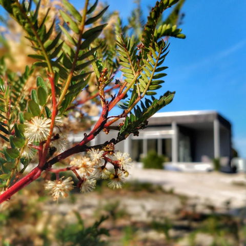 Aplite House - Hotel Accommodation 36