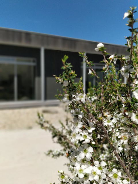 Aplite House - Hotel Accommodation 7