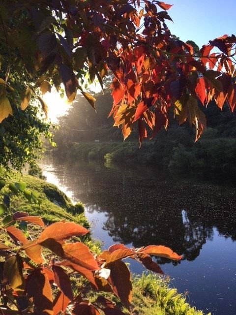 Forth River Cottage - Hotel Accommodation 4