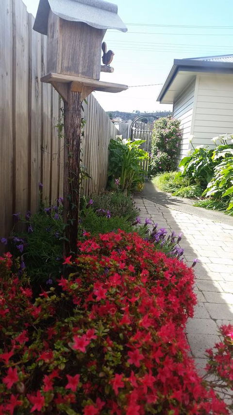 Driftwood-Cottage - Hotel Accommodation 16