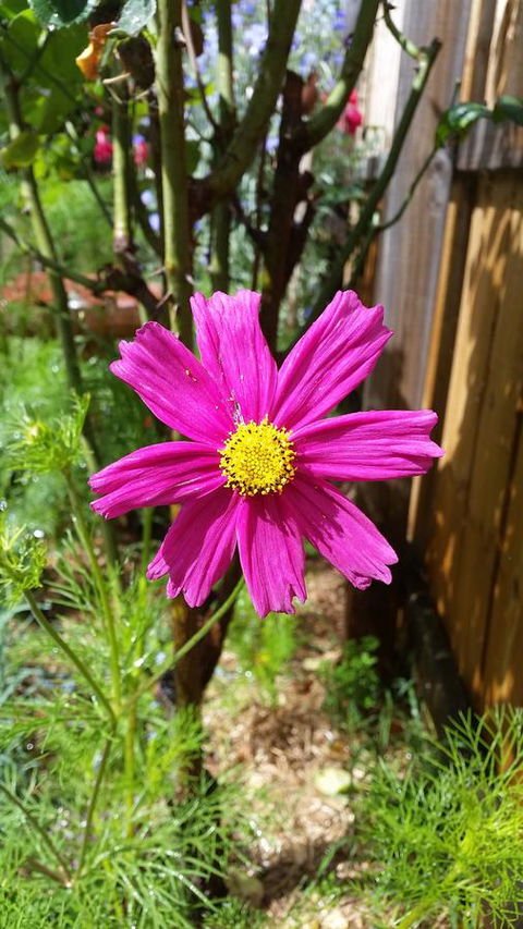 Driftwood-Cottage - Hotel Accommodation 27