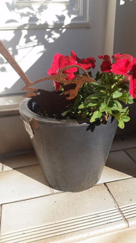 Driftwood-Cottage - Hotel Accommodation 36