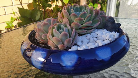 Driftwood-Cottage - Hotel Accommodation 37