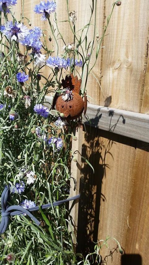 Driftwood-Cottage - Hotel Accommodation 26