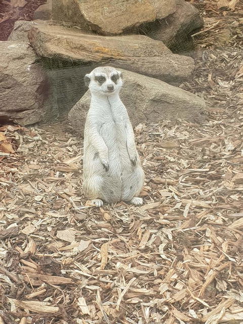 Driftwood-Cottage - Hotel Accommodation 44