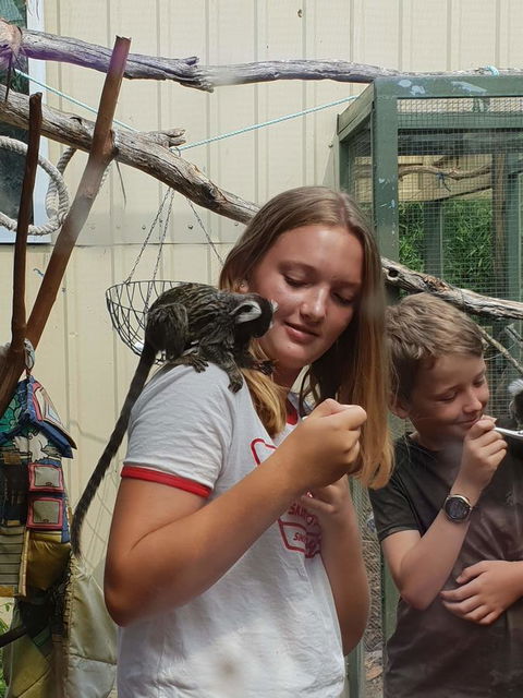 Driftwood-Cottage - Hotel Accommodation 43