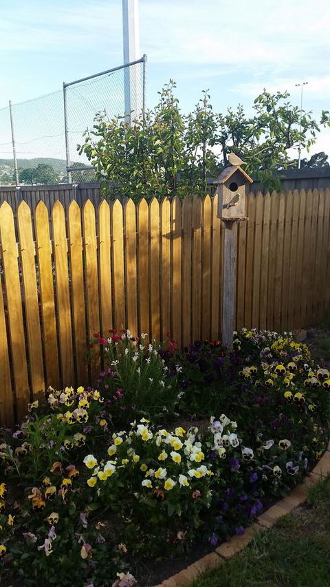 Driftwood-Cottage - Hotel Accommodation 38