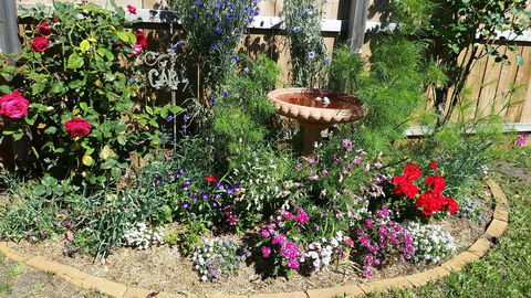 Driftwood-Cottage - Hotel Accommodation 25