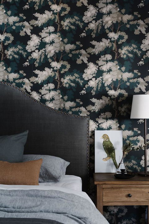 Ship Inn Stanley - Hotel Accommodation 41