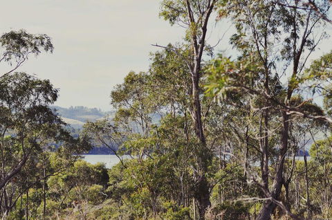 Oyster Cove Chalet - Hotel Accommodation 17