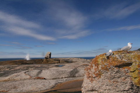 Suntrap Cove Bicheno - Hotel Accommodation 37