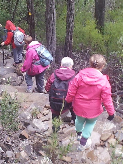 Suntrap Cove Bicheno - Hotel Accommodation 2