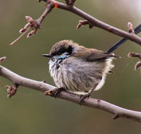 Free Spirit Pods - Hotel Accommodation