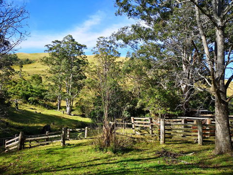 Nirvana Spiritual Retreat - Hotel Accommodation 2