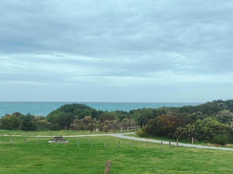 ODYSSEY APOLLO BAY - Hotel Accommodation 2