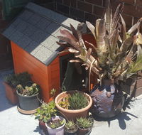 Orange Grove Hotel - Hotel Accommodation