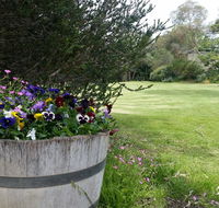 Padthaway Caravan Park - Hotel Accommodation