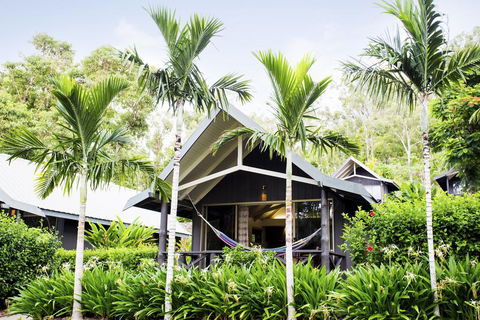 Palm Bungalows - Hotel Accommodation 0