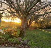 Peg Cottage - Hotel Accommodation