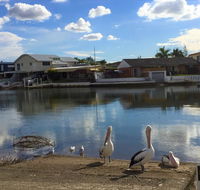 Pelican Cove Apartments - Hotel Accommodation
