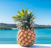 Pineapple House Whitsundays - Hotel Accommodation