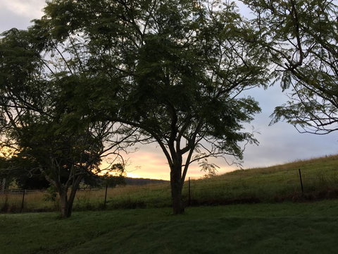 Ponytail Farmhouse - Hotel Accommodation 0